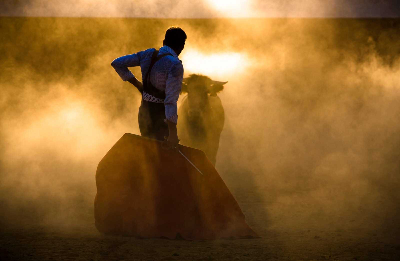Animal competition traditions: Türkiye's camel wrestling vs. Spain's bullfighting