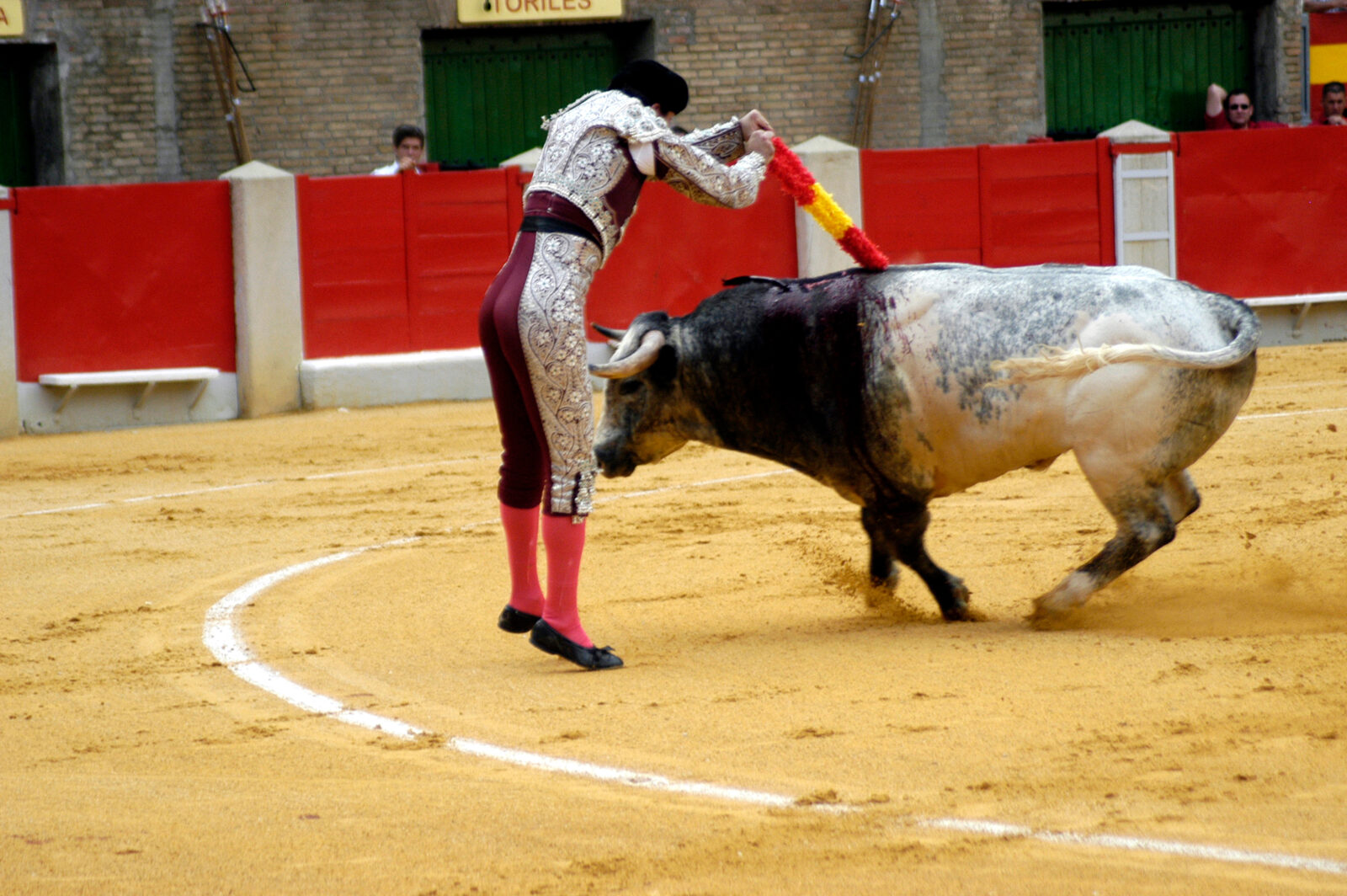 Animal competition traditions: Türkiye's camel wrestling vs. Spain's bullfighting