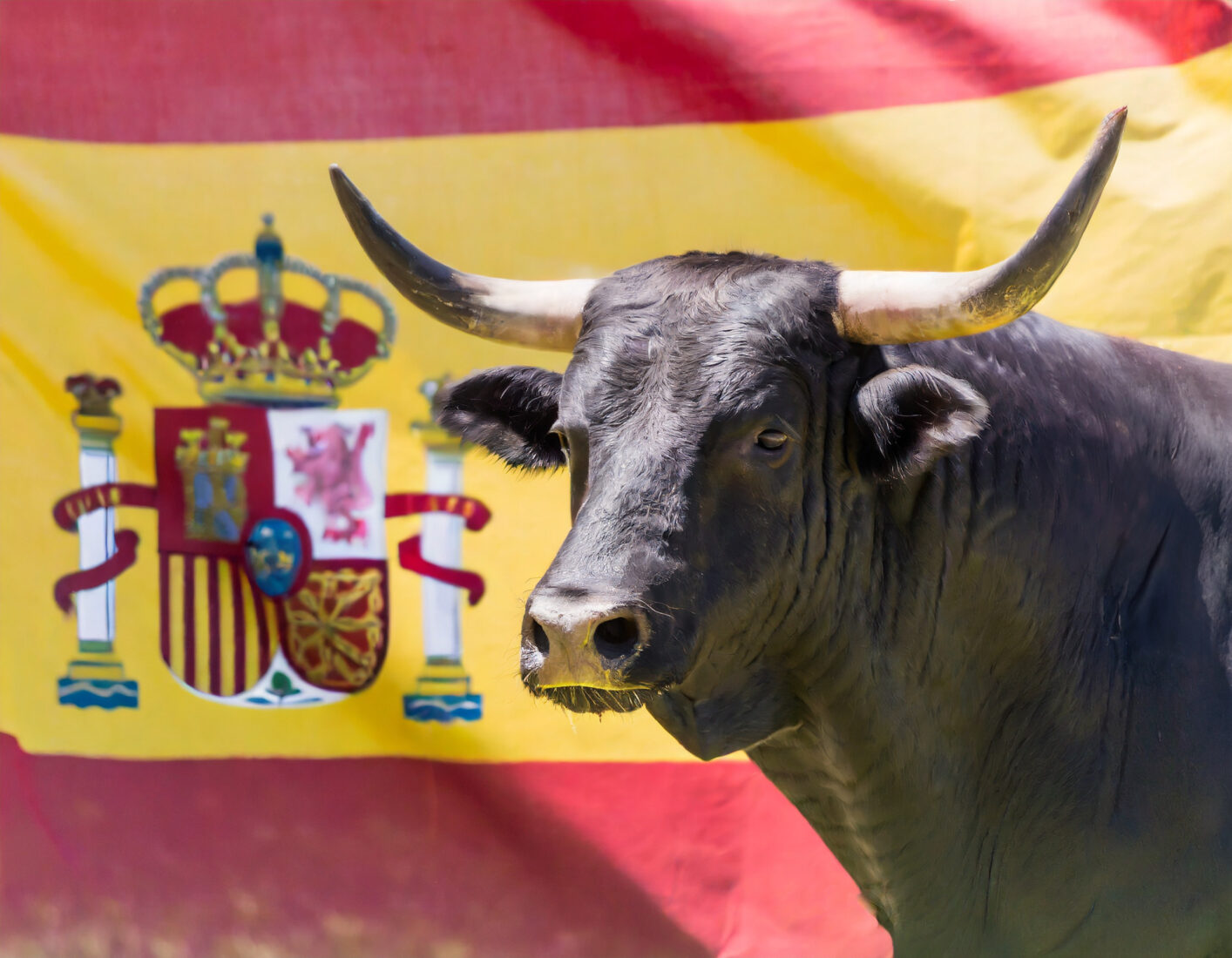 Animal competition traditions: Türkiye's camel wrestling vs. Spain's bullfighting