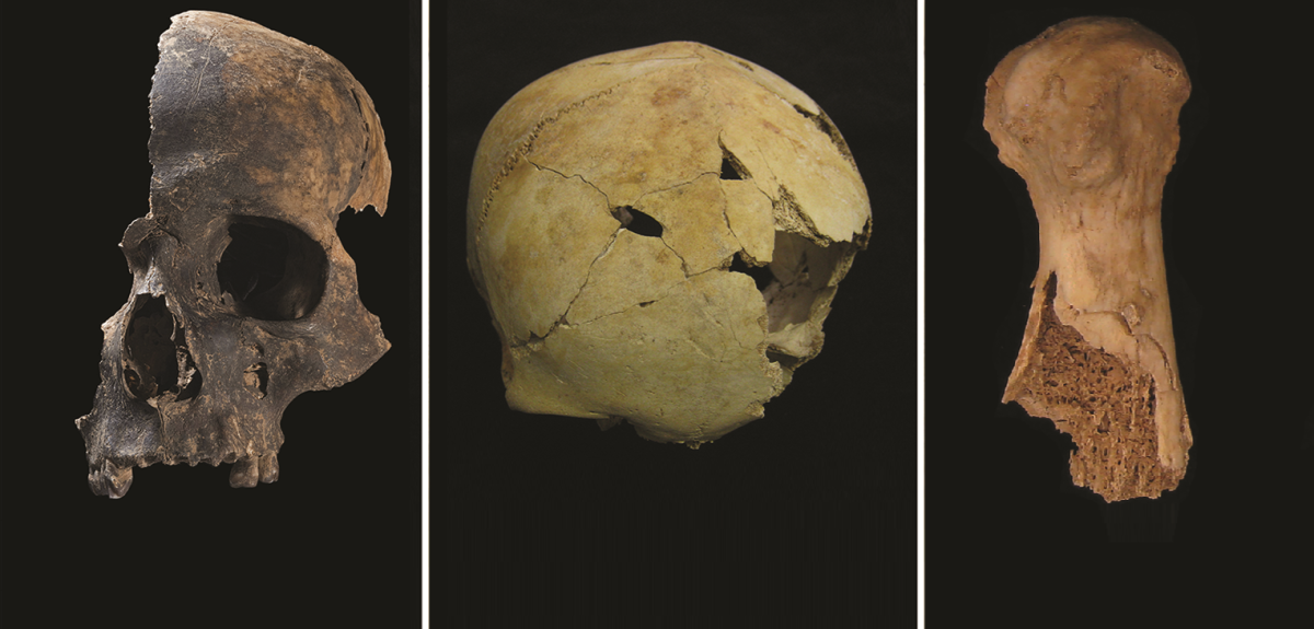Shocking discovery: 4,000-year-old cannibalism evidence found in Bronze Age massacre in UK