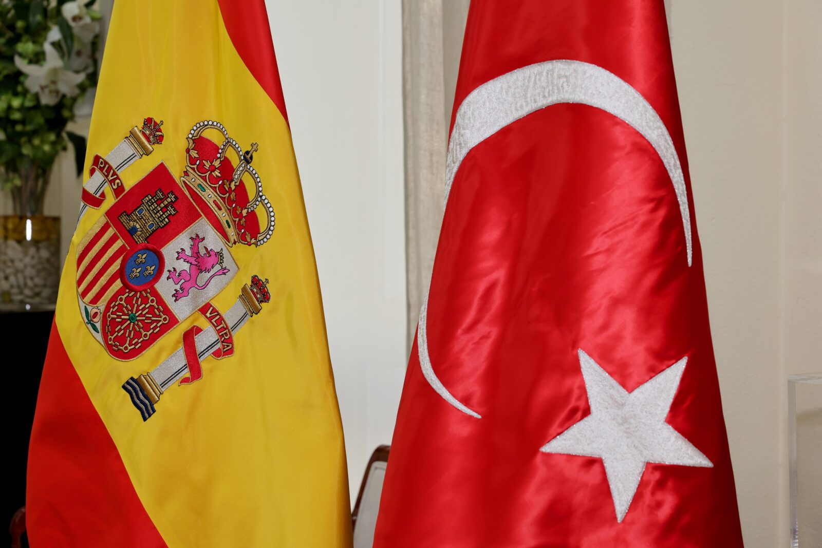 Türkiye is indispensable for EU: Former Spanish FM Laya