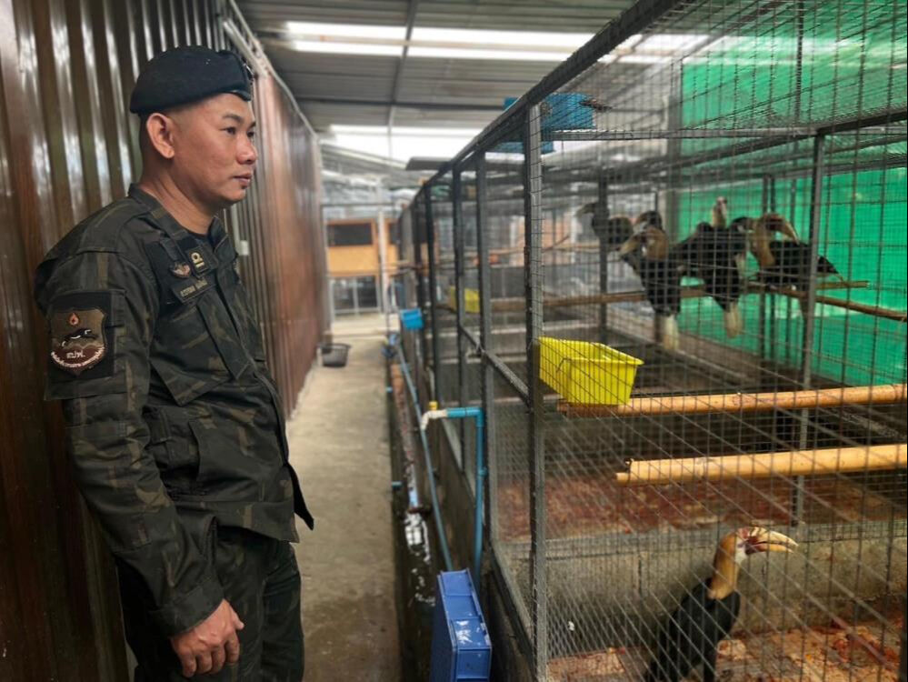 Officials document evidence while inspecting animals at the farm in Nakhon Pathom, Thailand, December 27, 2024. (IHA Photo)