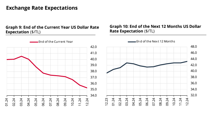 Chart: December Market Participants Survey, CBRT