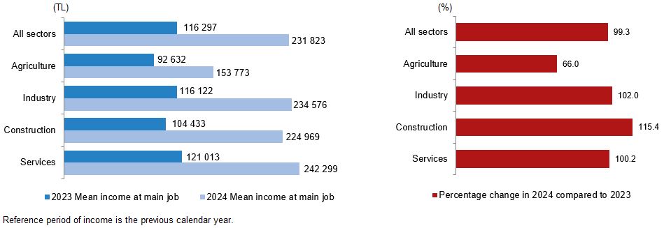 Mean annual income at the main job and percentage change compared to the previous year, 2023, 2024. (Charts: TurkStat)