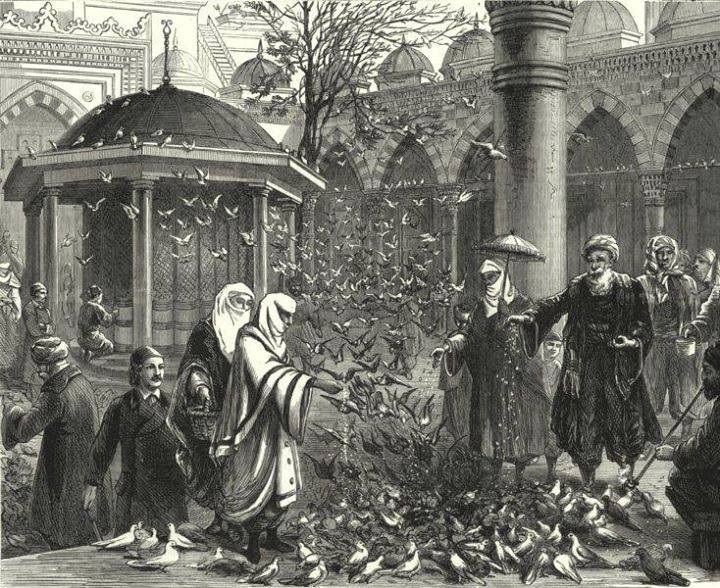 Ottomans placed water bowls high on mosque walls to ensure birds could drink safely away from predators. (Photo via Ottoman Imperial Archives)