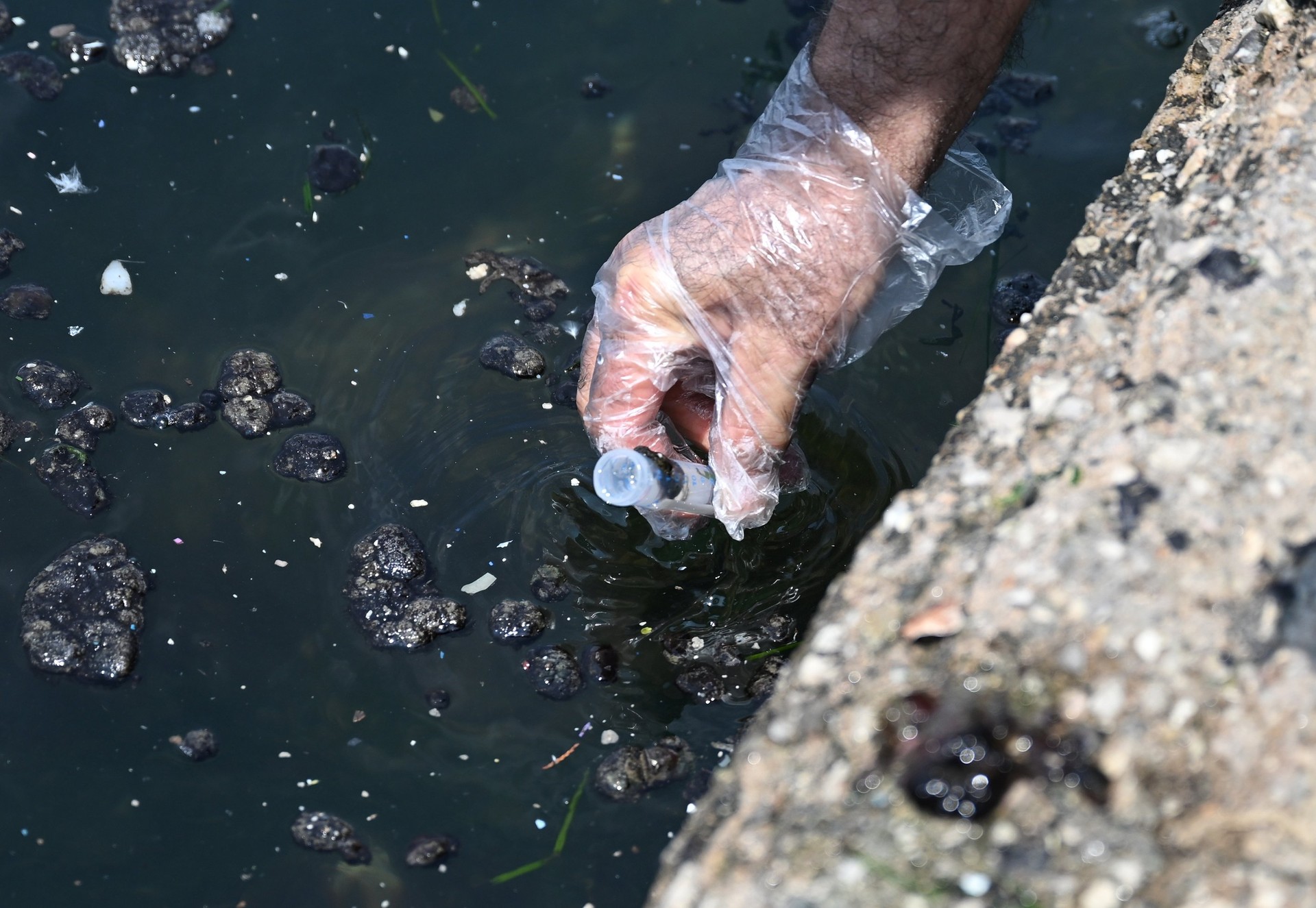 Pollution crisis at Izmir Bay: Sea choked by dirt as municipality faces penalties