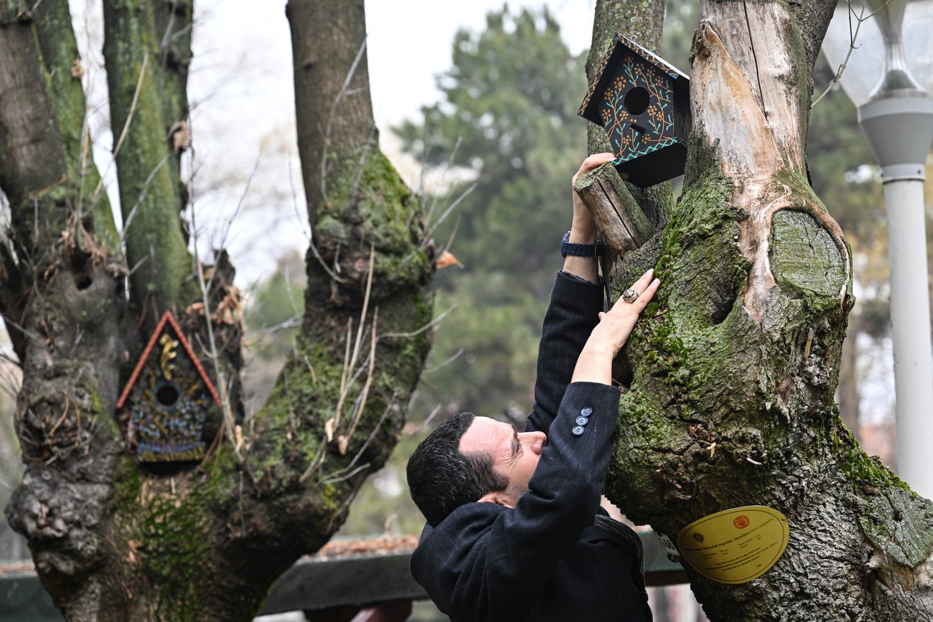 Artist inspired by frozen bird builds 1,000 decorative birdhouses in Türkiye’s public spaces