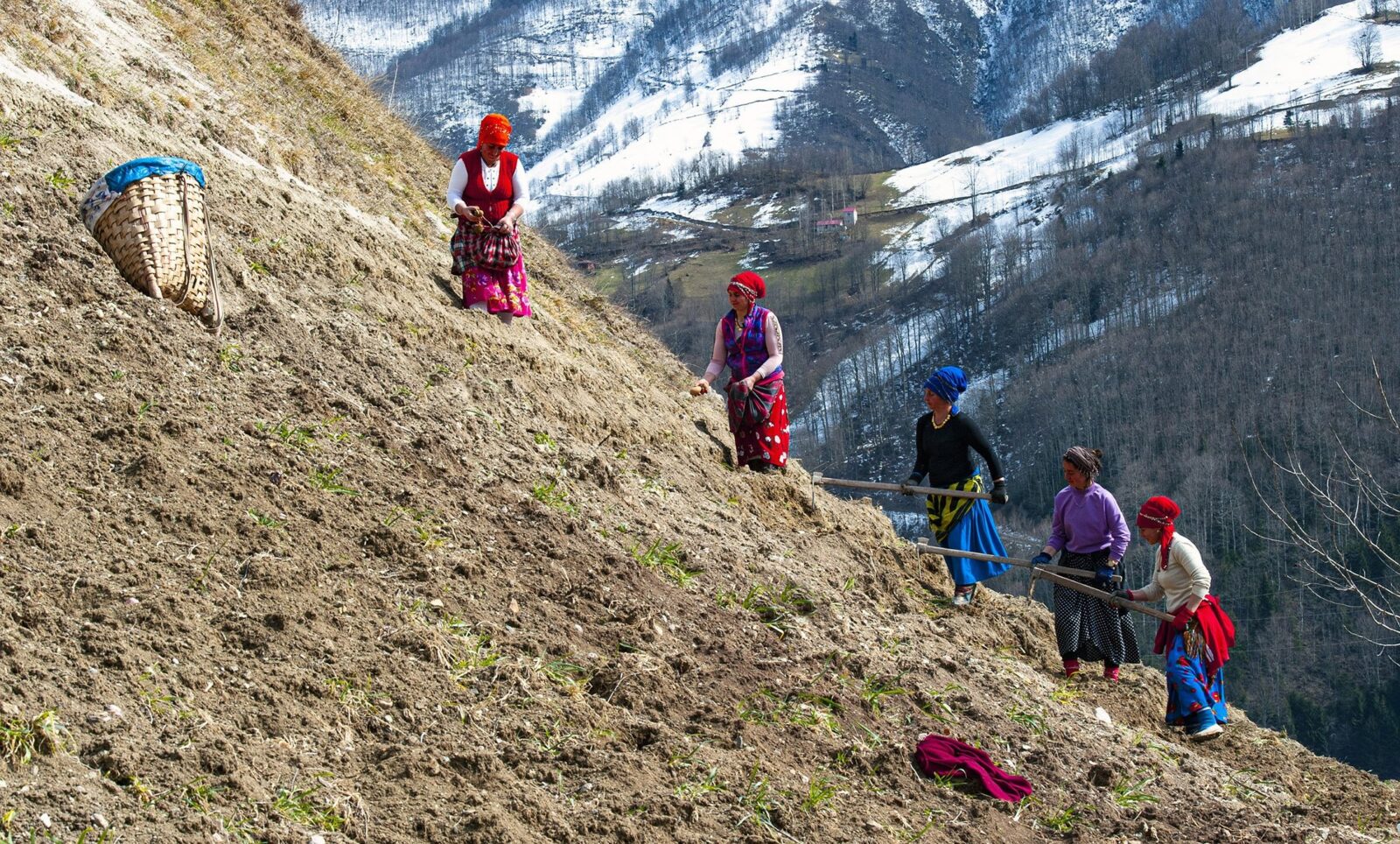Women work in a field in Trabzon, Türkiye, March 7, 2021. (Photo via TRT)