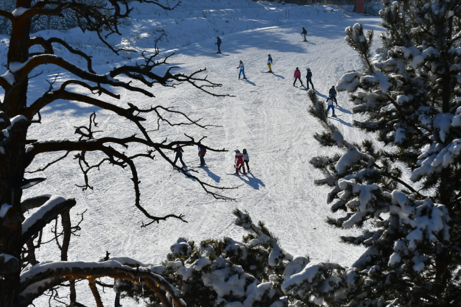 The ski season begins at Sarikamis Ski Center in Kars, a top winter destination in Türkiye, Dec. 29, 2024. (AA Photo)