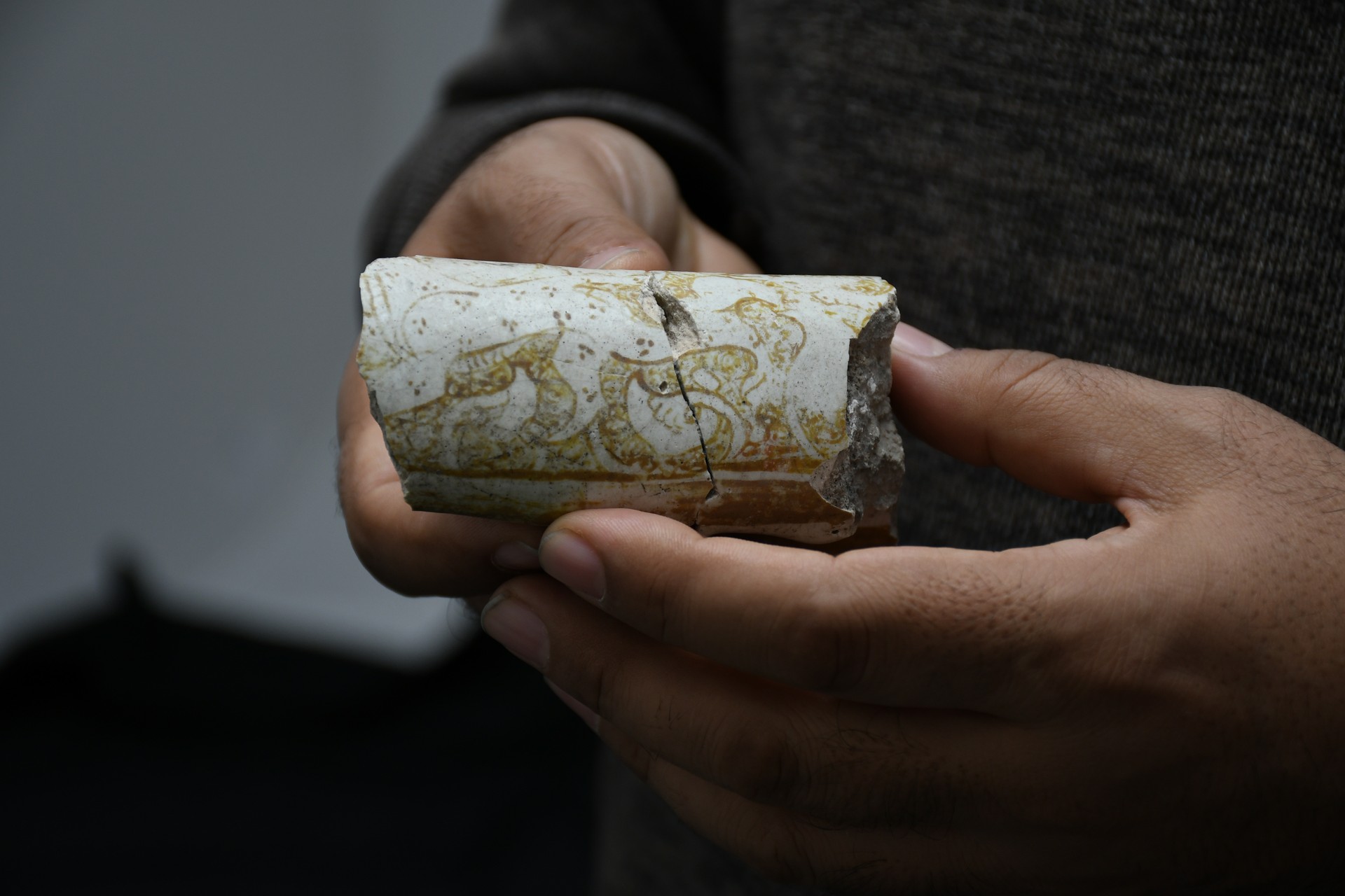 Ancient Anatolian leopard depicted on 800-year-old ceramic unearthed in Hasankeyf