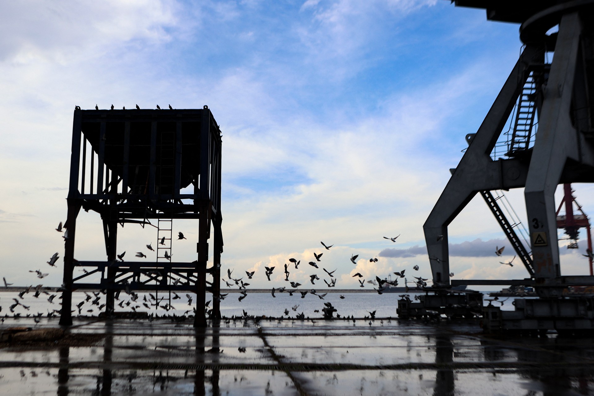 Syria grants Latakia Port to French CMA CGM, including Turkish holding stake