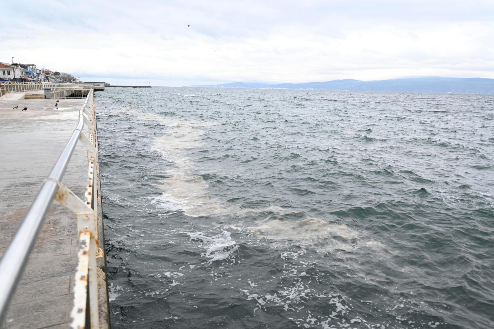 Mucilage is observed in Gemlik Bay, Bursa, Türkiye, January 15, 2025. (IHA Photo)