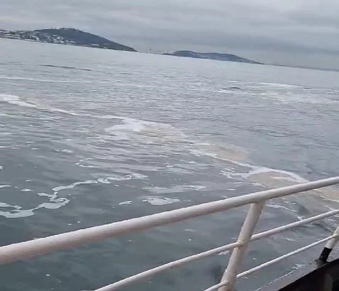 In the open waters of Buyukada, images captured by a citizen's mobile phone reveal the white layer covering the sea surface, Istanbul, Türkiye, January 15, 2025. (IHA Photo)