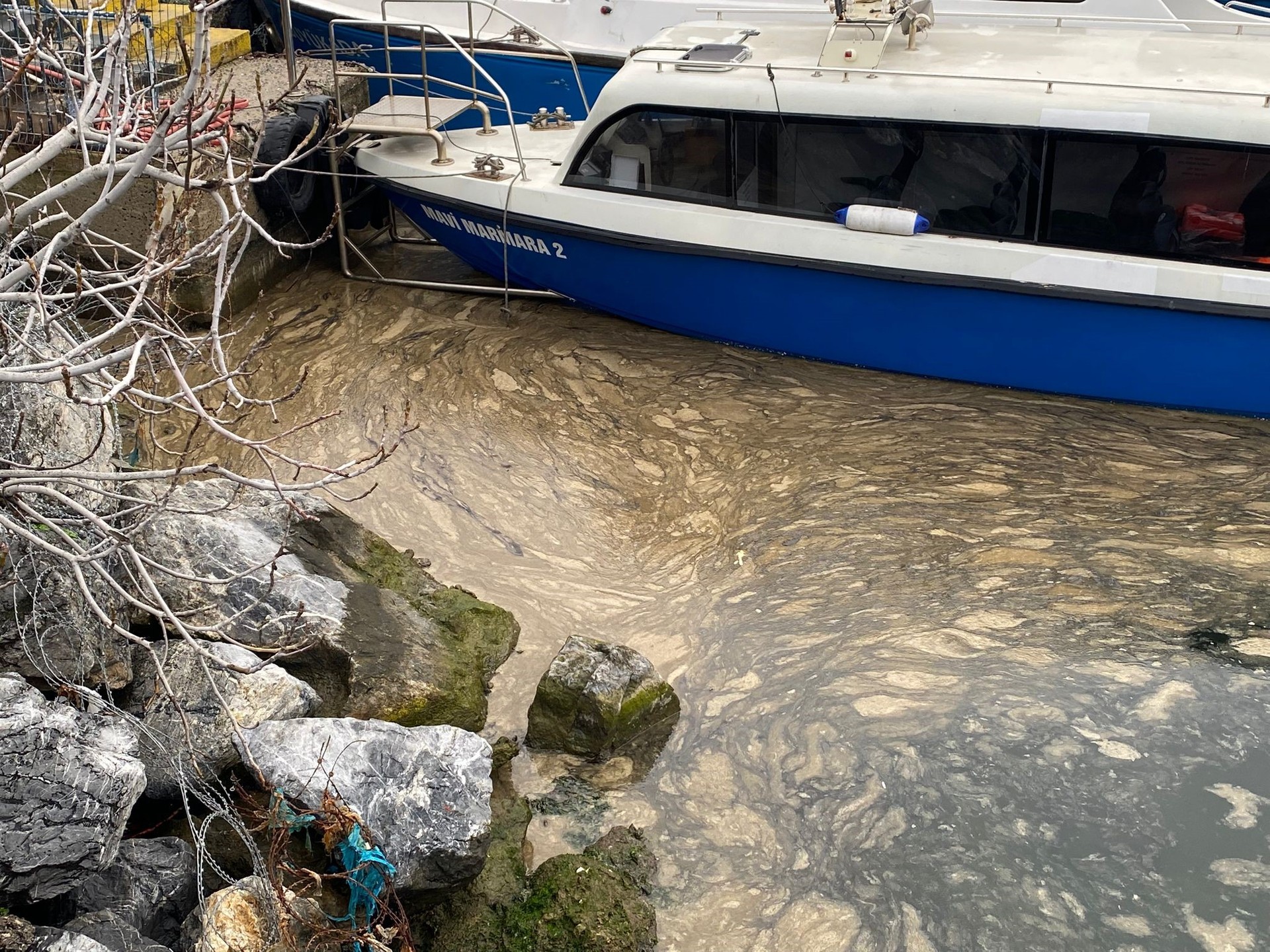 Türkiye’s Marmara Sea struggles to breathe as mucilage expands