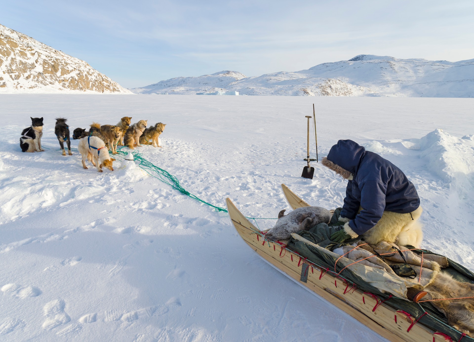Inuit hunter wearing traditional trousers and boots made from polar bear fur, Melville Bay near Kullorsuaq in North Greenland. (Adobe Stock Photo)