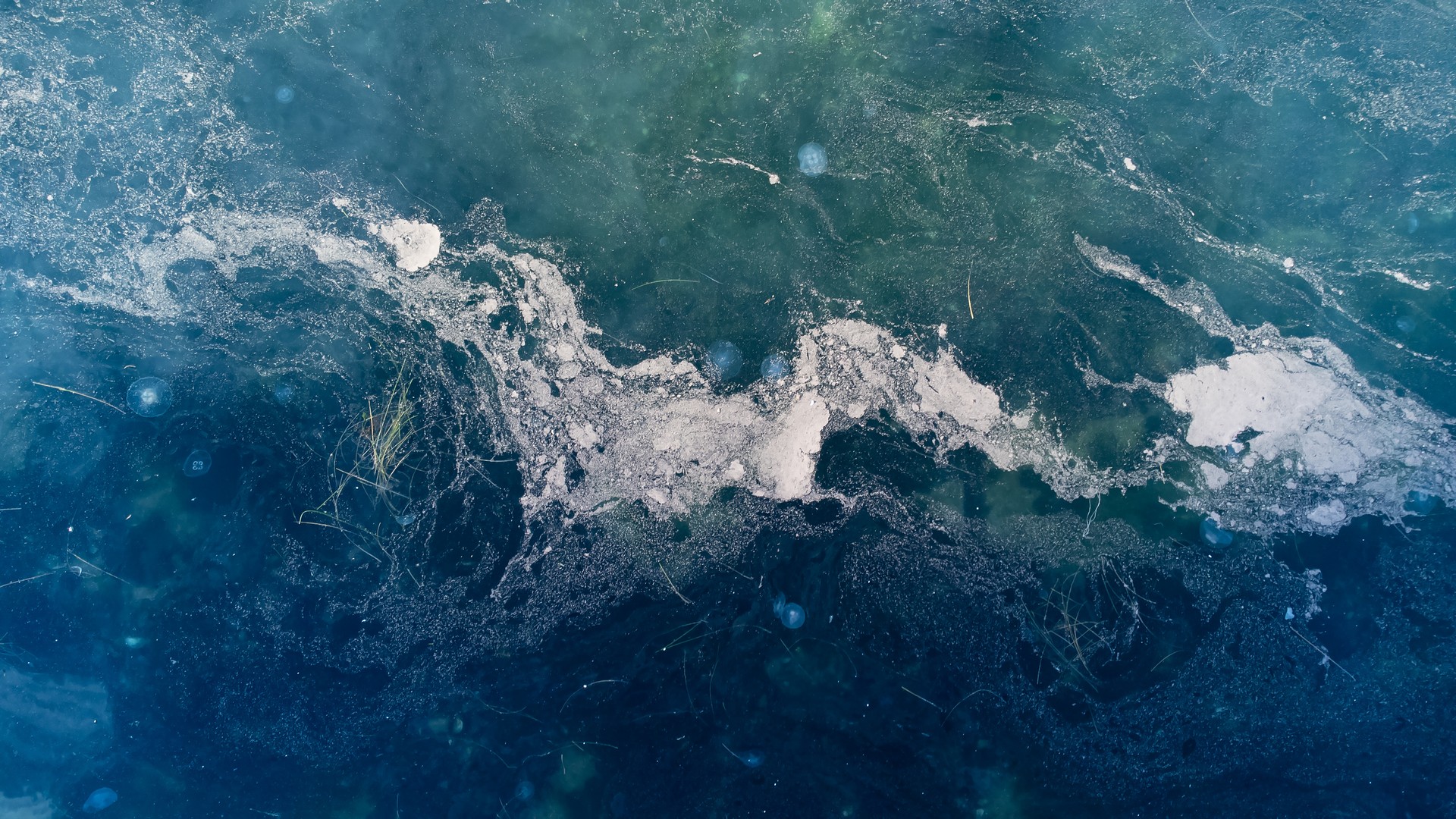 Marine biology expert warns of mucilage spread in Marmara