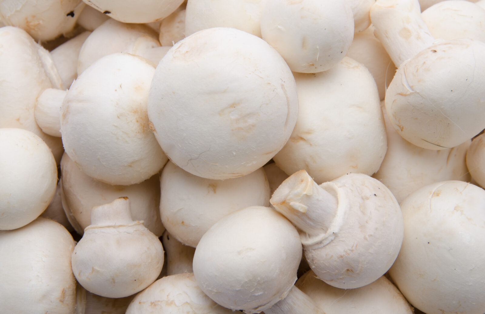 Fresh button mushrooms. (Adobe Stock Photo)