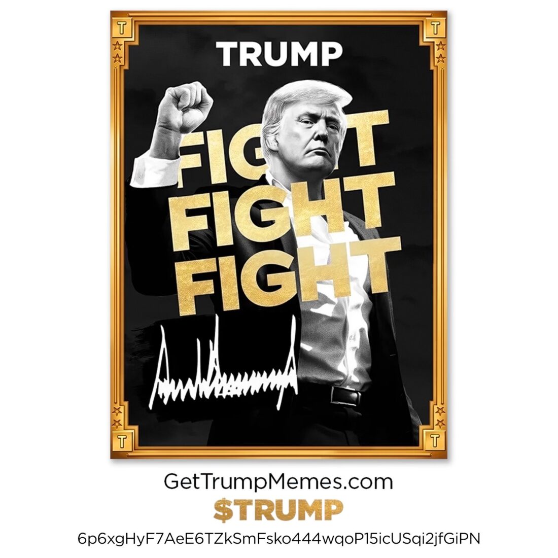Trump meme coin drives cryptocurrency market craze: Over 230% yield in 24 hours
