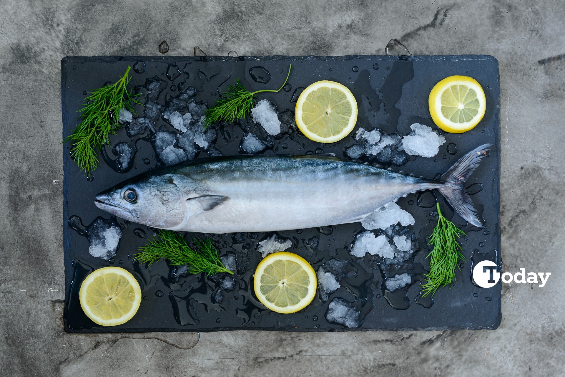 Flavors of Anatolia: Bonito recipe from antiquity to today