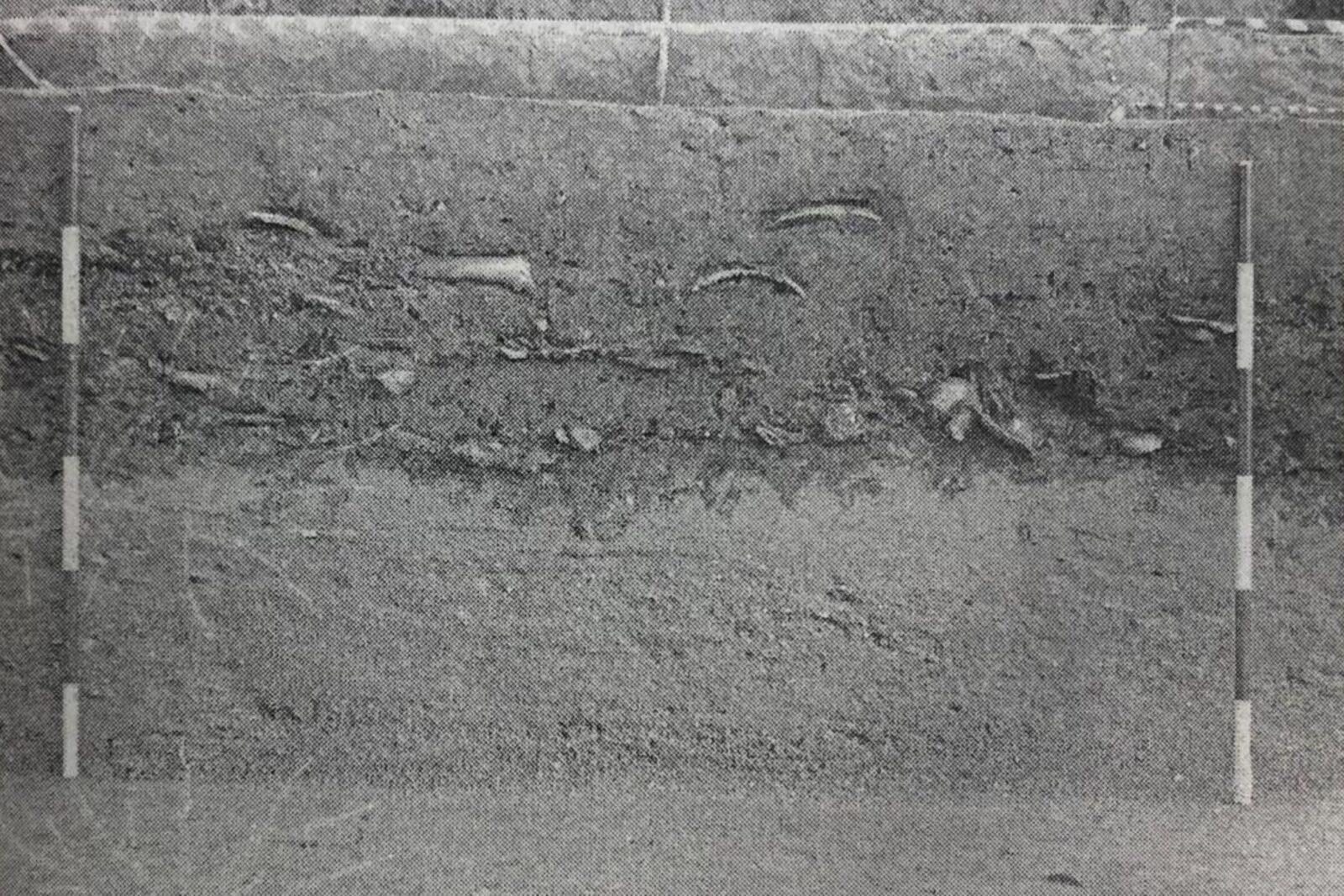 Tsunami layer detected in the archaeological excavations at Yenikapi, Istanbul, Türkiye. (Photo via Urban Archaeology and Istanbul book)