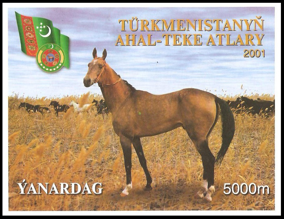 A 2001 miniature sheet from Turkmenistan featuring Akhal-Teke horses. The 5000 M multicolored stamp depicts an Akhal-Teke horse in the foreground with a herd in the background. Michel catalogue number: Block 12. (Photo via Wikimedia)