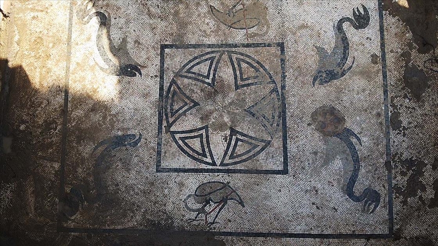 Large, well-preserved Roman-era bath mosaics discovered in Türkiye