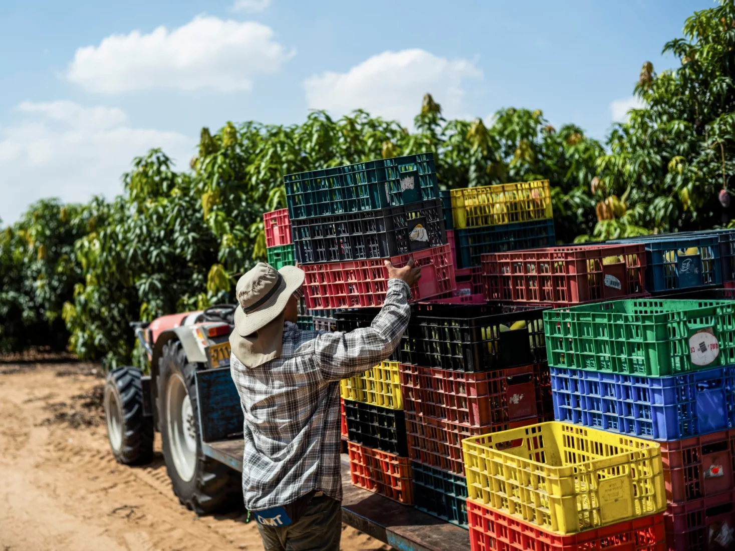 A Thai worker labors in Israeli fields adjacent to the Gaza Strip, Oct. 12, 2023. (Photo via Ilia Yefimovich)