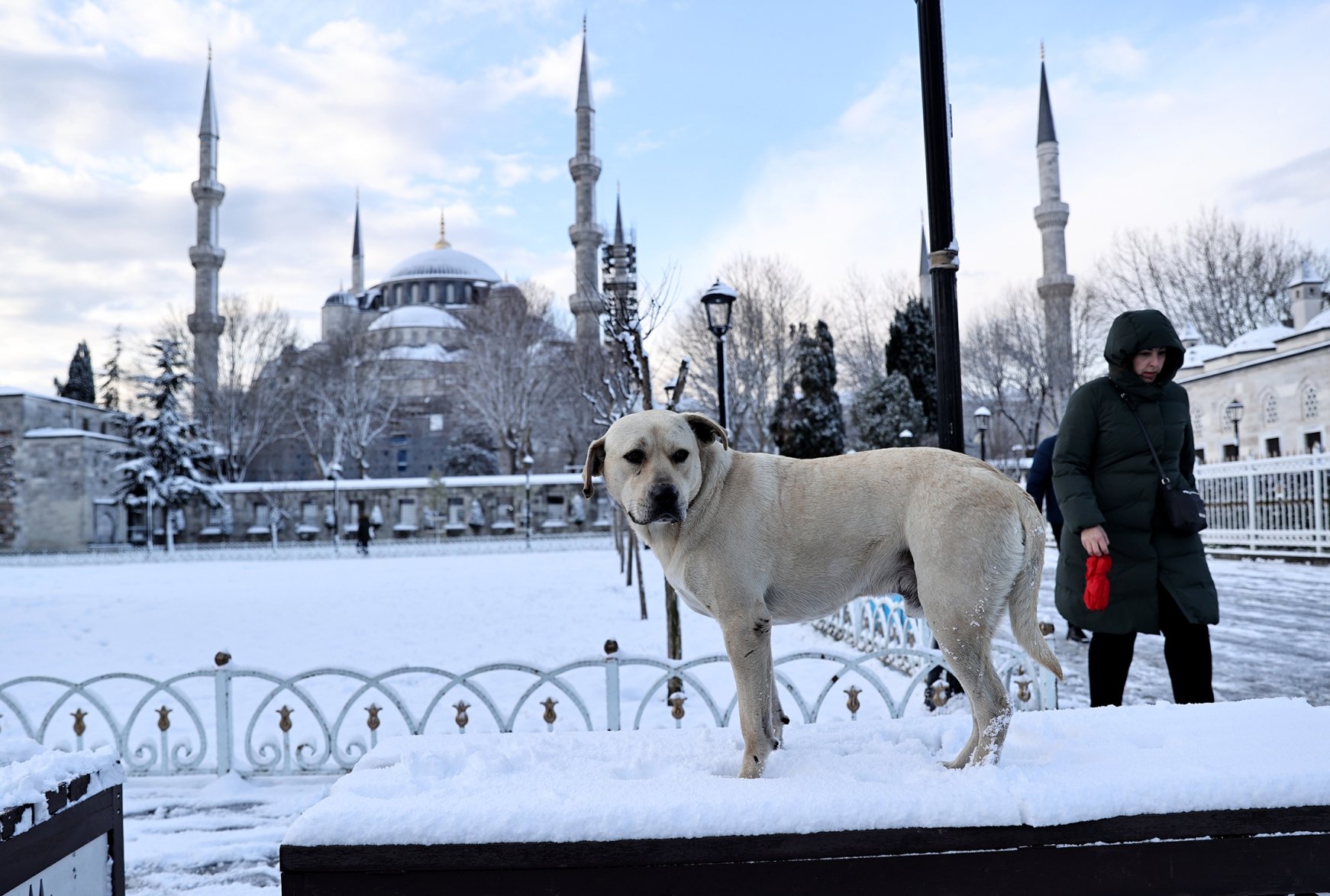 Heavy snow returns to Istanbul —here’s the map of all districts with weather conditions