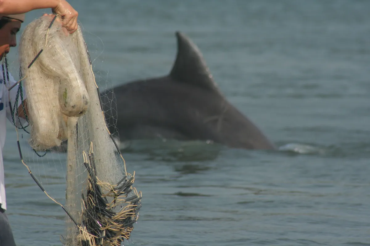 Palestinian fishermen forced to hunt dolphins for survival amid starvation crisis