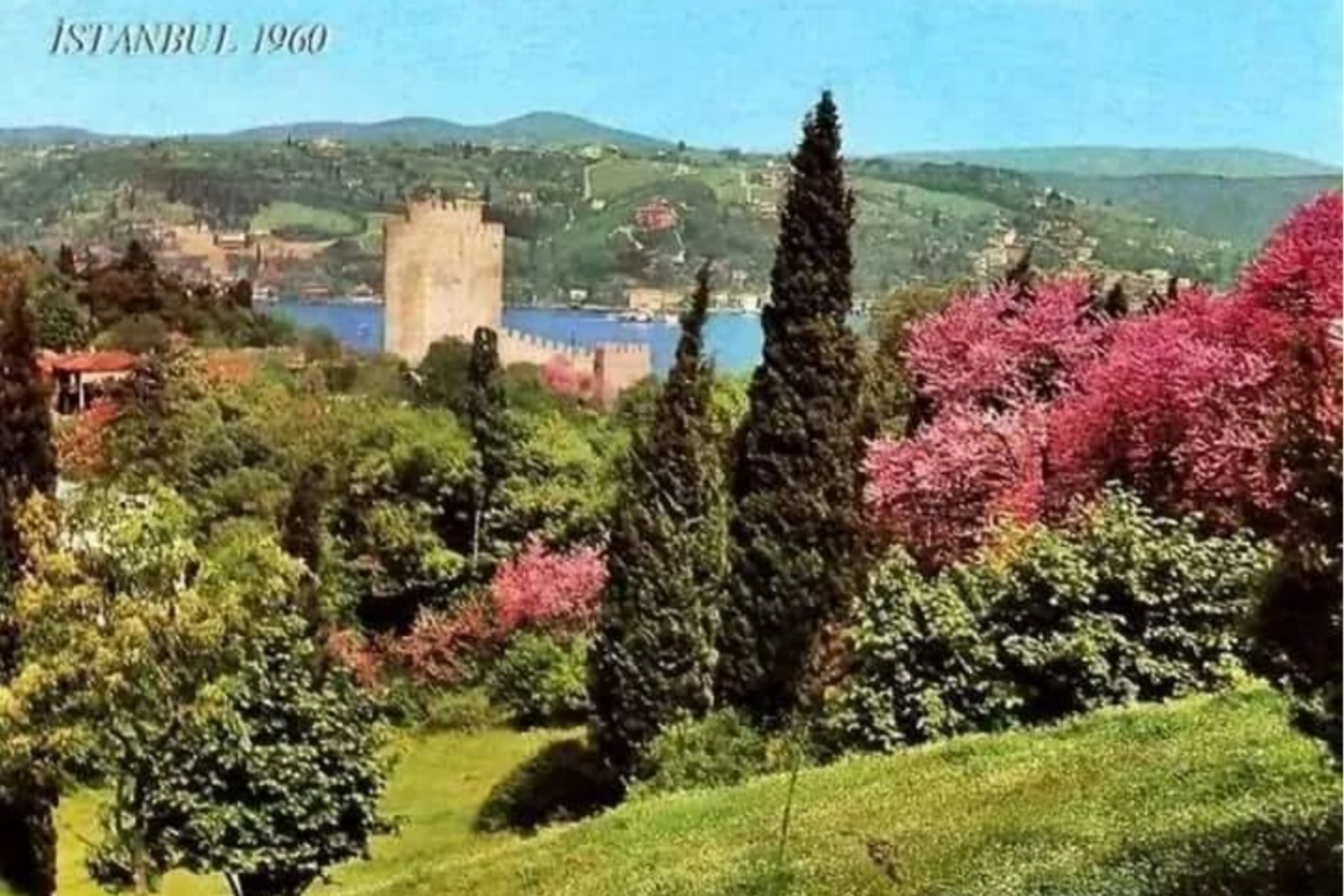 The view of the Bosphorus from a hilltop reveals the rapid urbanization and increase of Istanbul's population in just several decades, Istanbul, Türkiye, 1960. (Photo via Instagram / @kaybolantarihinpesinde)