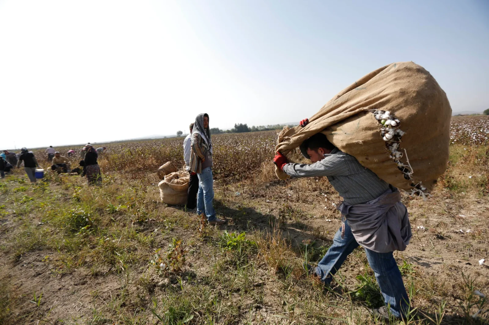 Turkish villager Hasan Dogruyol (R) and Syrian refugee workers carry a sack of cotton while working in a cotton field near the border town of Reyhanli, along the Turkish-Syrian border in Hatay province, on Nov. 4, 2012. (Photo via Brookings)