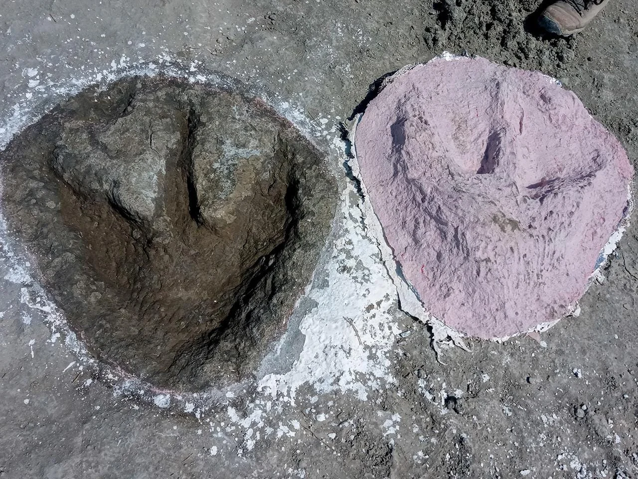 Jurassic journey: Massive 166M-year-old dinosaur footprints discovered in UK