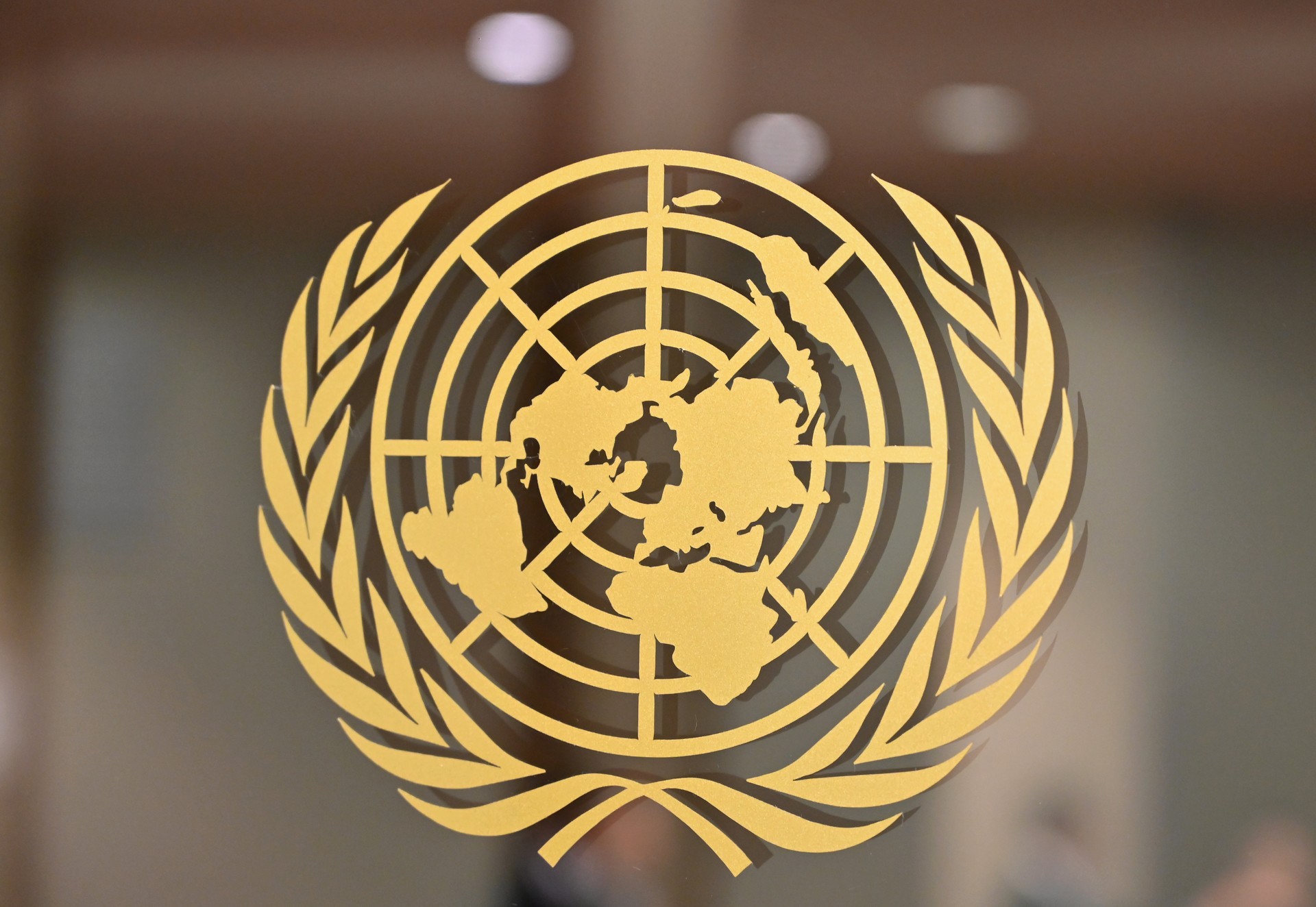 Türkiye calls for 'democratic' and 'accountable' UN Security Council reform