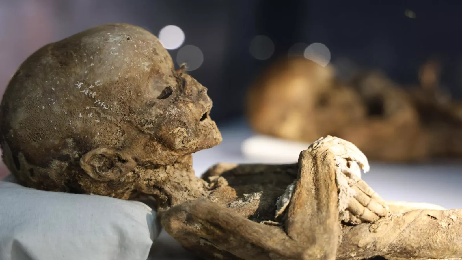 Child mummy displayed from various excavations in Aksaray, Türkiye, Dec. 1, 2023. (IHA Photo)