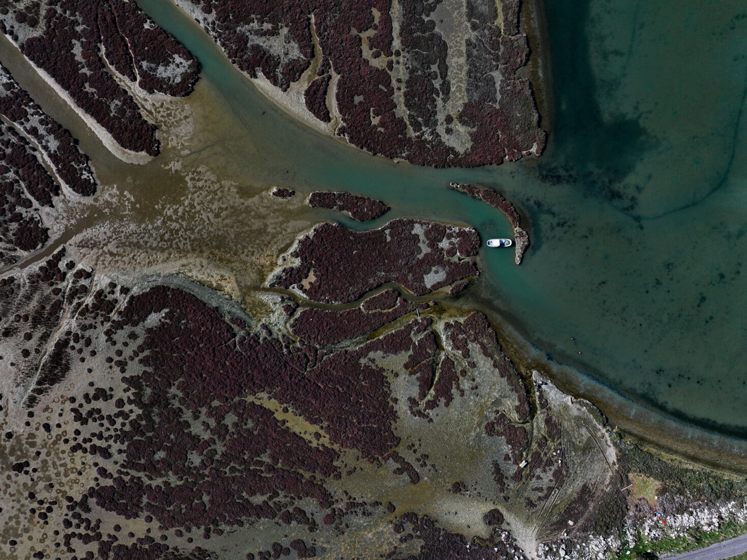 An aerial view of the Gediz Delta in Izmir, Türkiye, showing the vital wetland under threat from climate change, drought, and pollution on January 28, 2025. This 400 km² area is a protected Ramsar site, home to many bird species, including flamingos. (AA Photo)