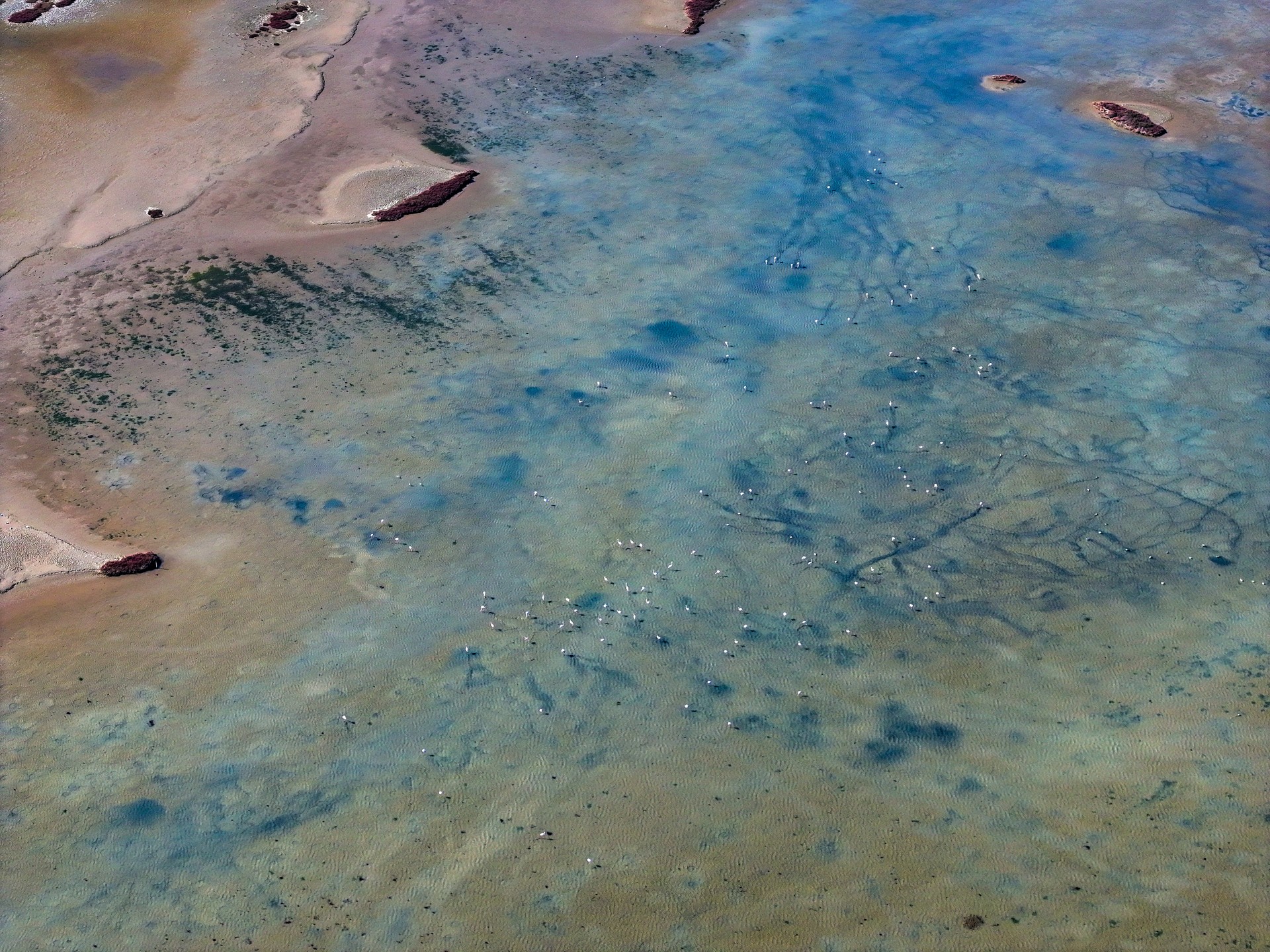 Türkiye’s Gediz Delta faces drought, pollution threats