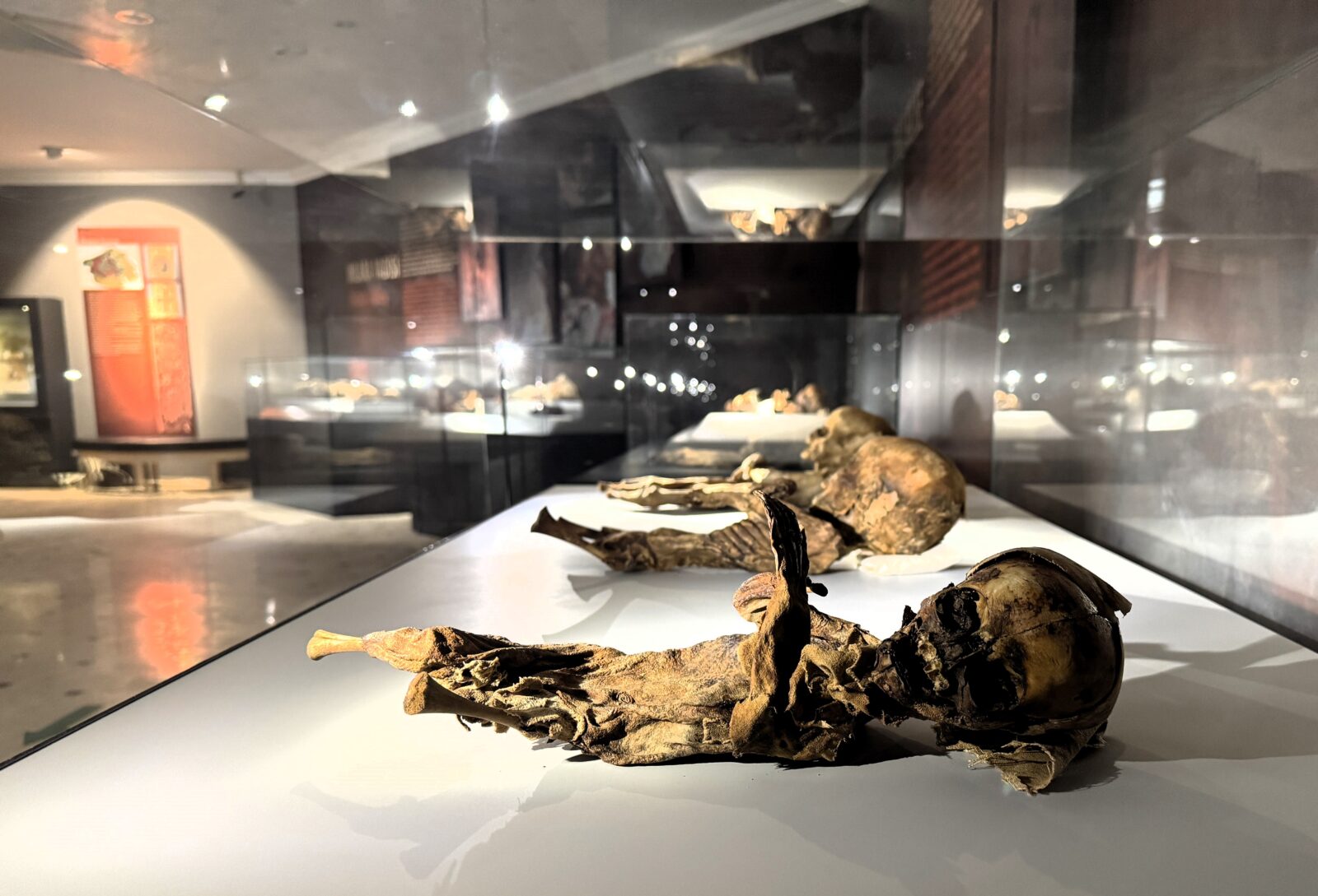 Child mummies displayed from various excavations in Aksaray, Türkiye, February 1, 2025. (AA Photo)