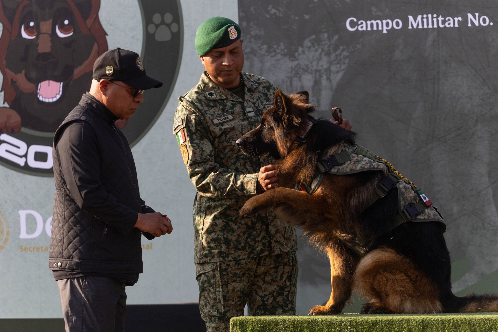Famous dog 'Arkadas' carries forward Proteo's heroic legacy