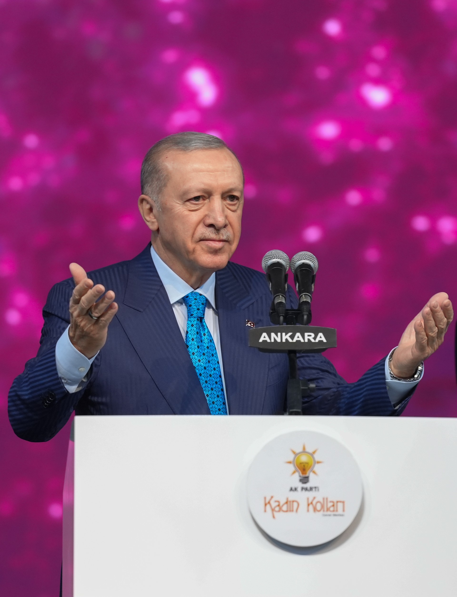 Erdogan leads in presidential election: Poll