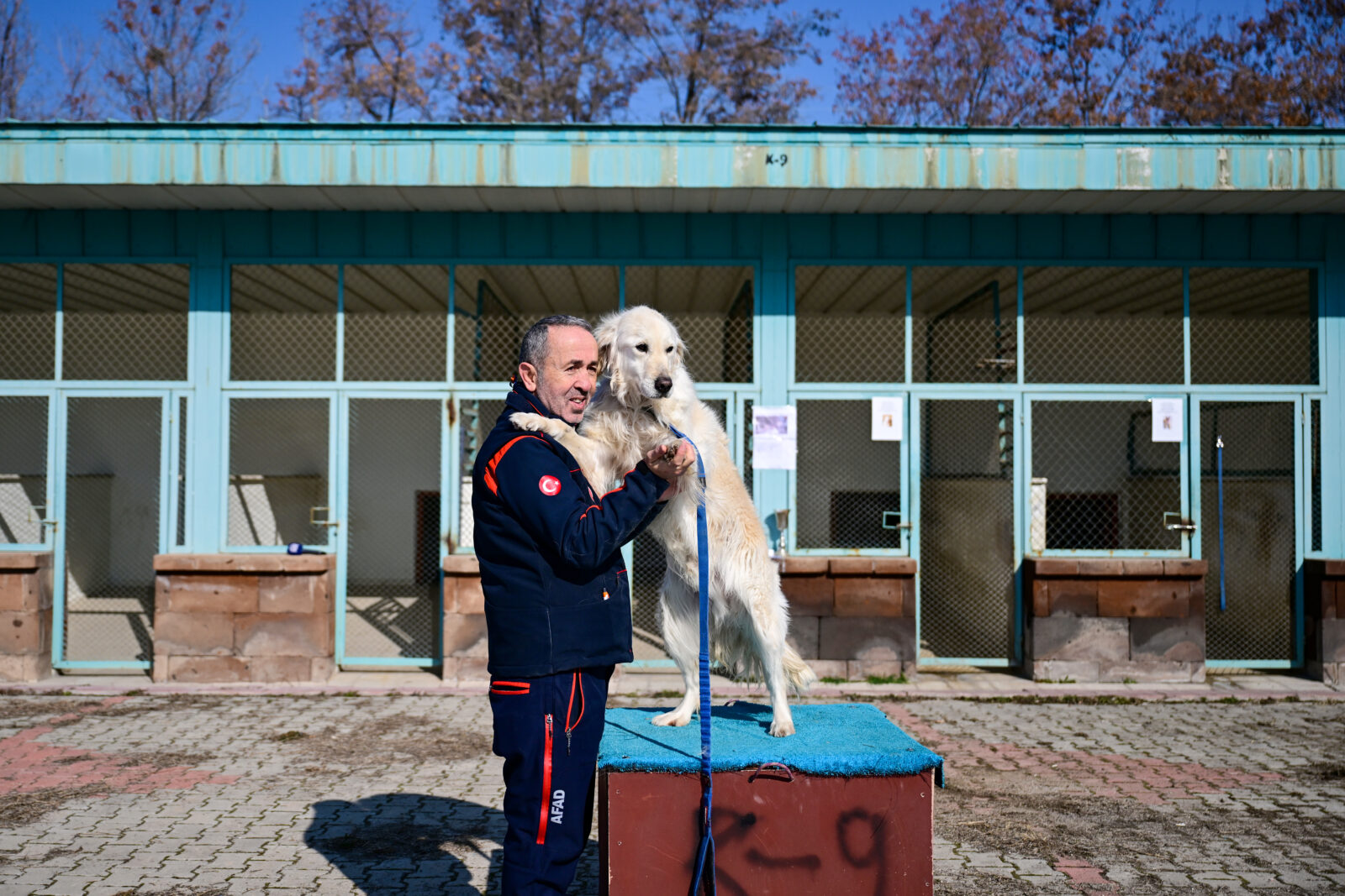 “Poyraz”, the search and rescue dog that assists the teams in disasters that occur in various cities in Türkiye. (AA Photo)