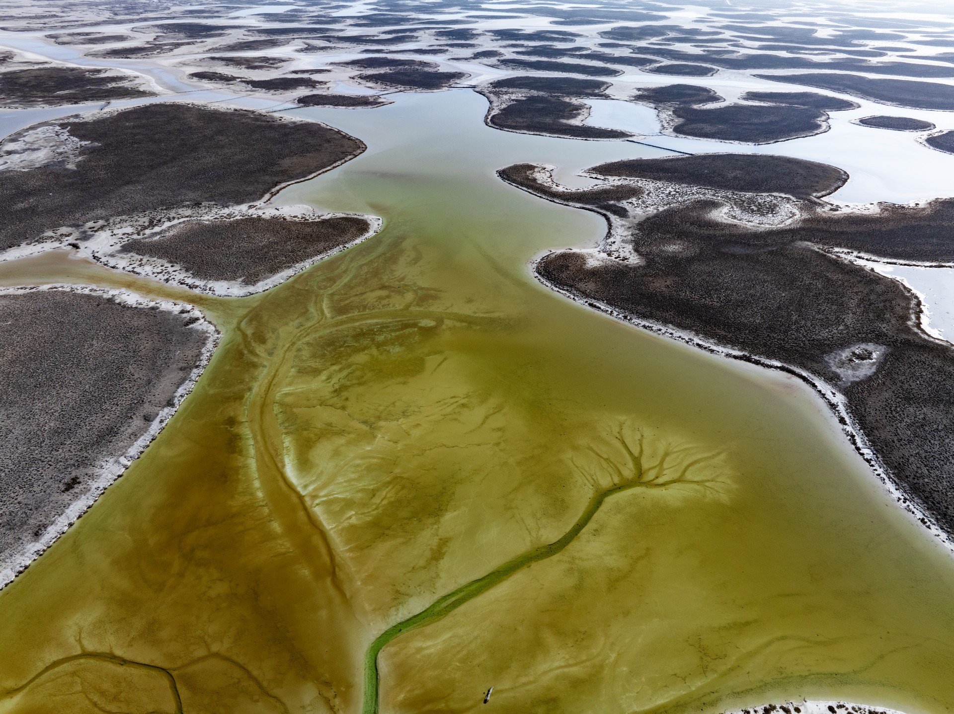 Türkiye faces deepening water crisis as drought, mismanagement drain resources