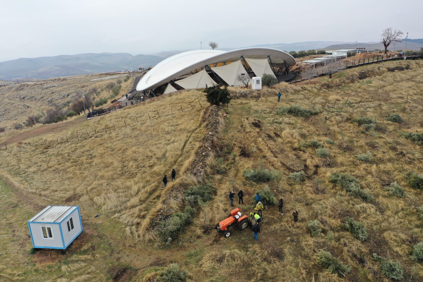 Olive trees at Gobeklitepe, a UNESCO World Heritage Site, are being relocated to prevent damage to historical artifacts at the archaeological site, Sanliurfa, Türkiye, Feb. 13, 2025. (AA Photo)