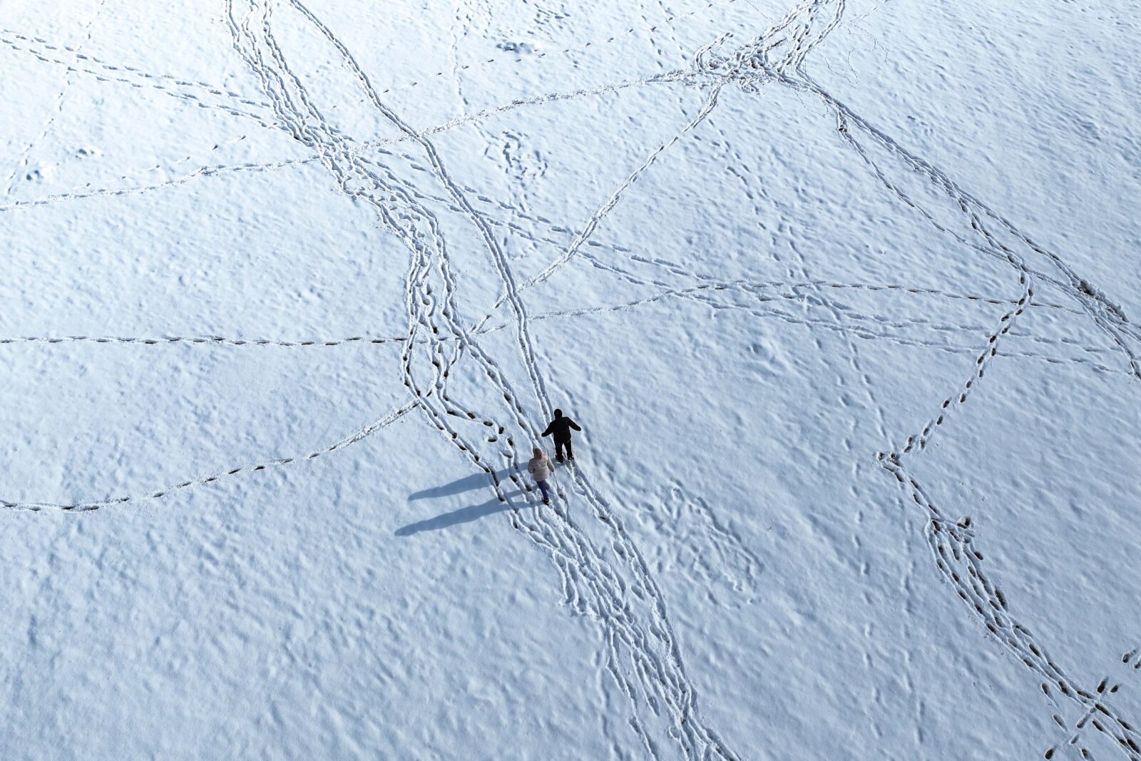 Two people walk through the snow at Basaksehir National Garden in Istanbul, leaving behind their footprints after the snowfall, Türkiye. (AA Photo)