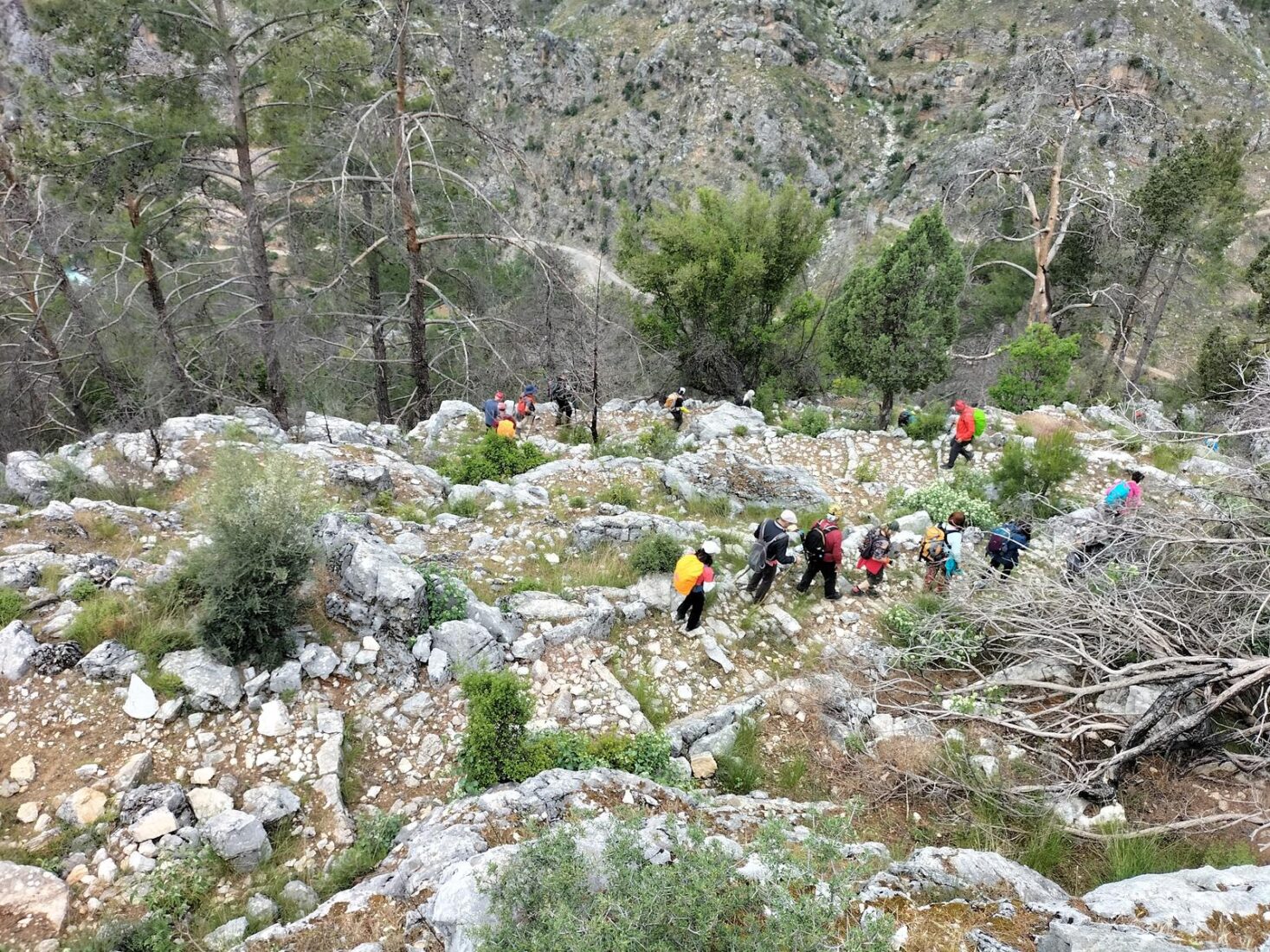 A photo of the 251-mile Keykubad Migration and Caravan Road between Konya and Alanya district of Antalya, Türkiye. (AA Photo)