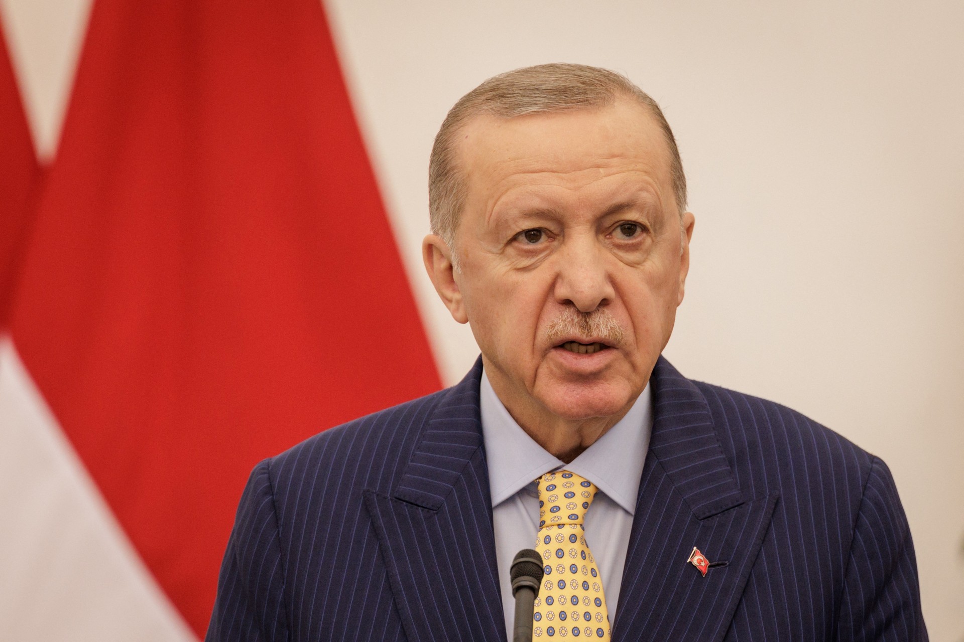Terrorist groups must understand they have no place in Syria: Erdogan