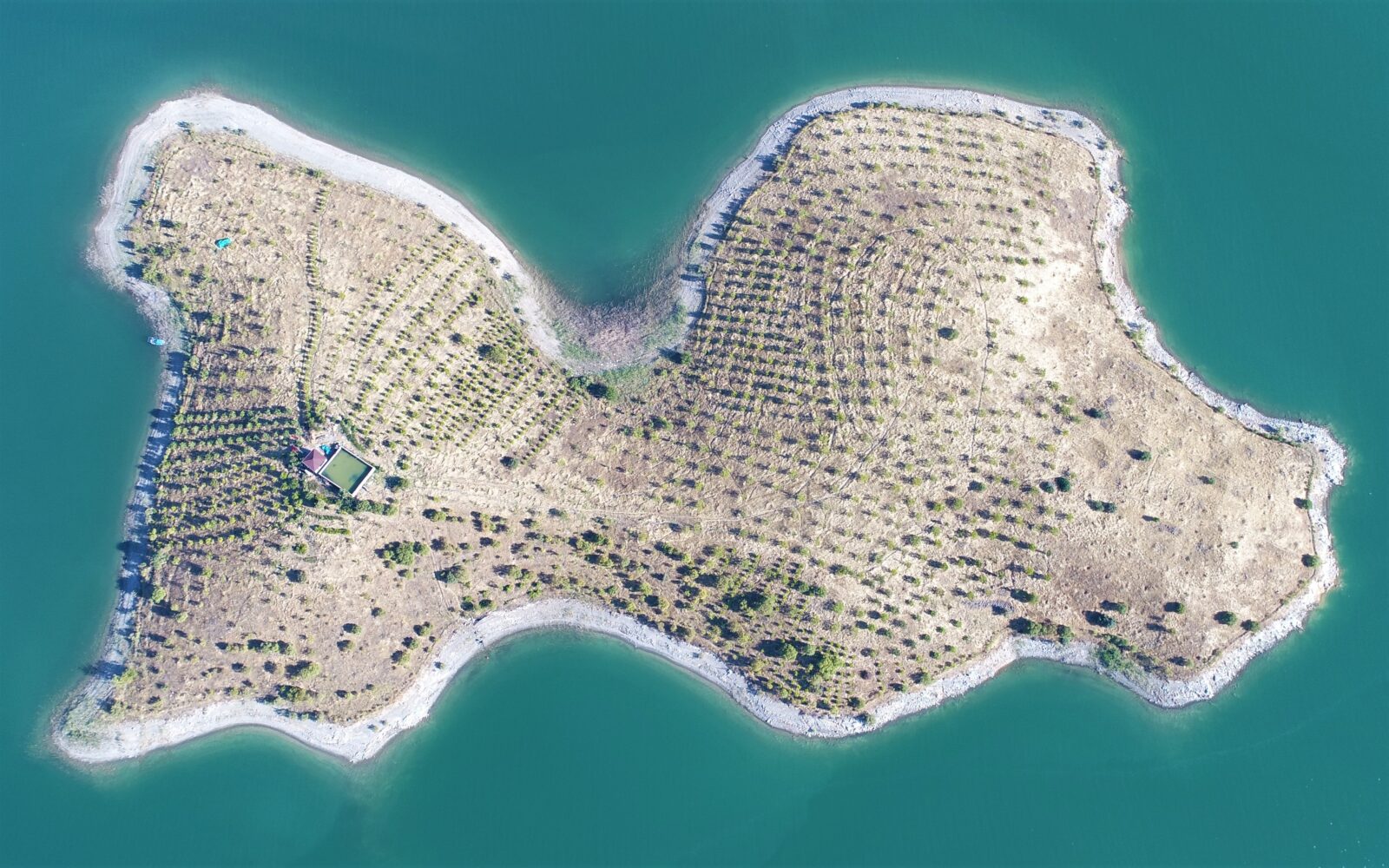 After losing his wife in a traffic accident, 86-year-old Ziya Abay settled on an island in the Keban Dam Lake Basin, which he discovered upon returning to his hometown, building a cabin 15 years ago. He transformed the area into a natural wonder by planting over 4,000 saplings. (IHA Photo)