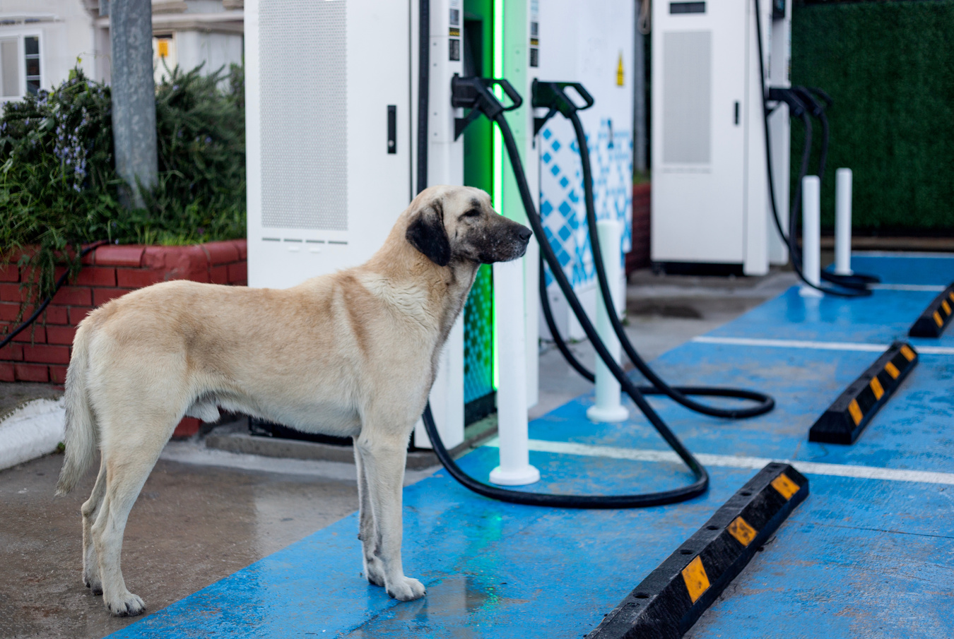 Fire risks from illegal EV charging stations put Turkish residents at risk