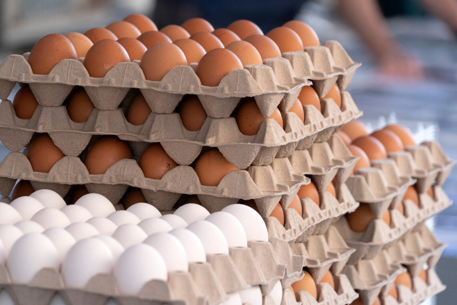 Stacks of brown and white eggs are displayed at a market. (Adobe Stock Photo)