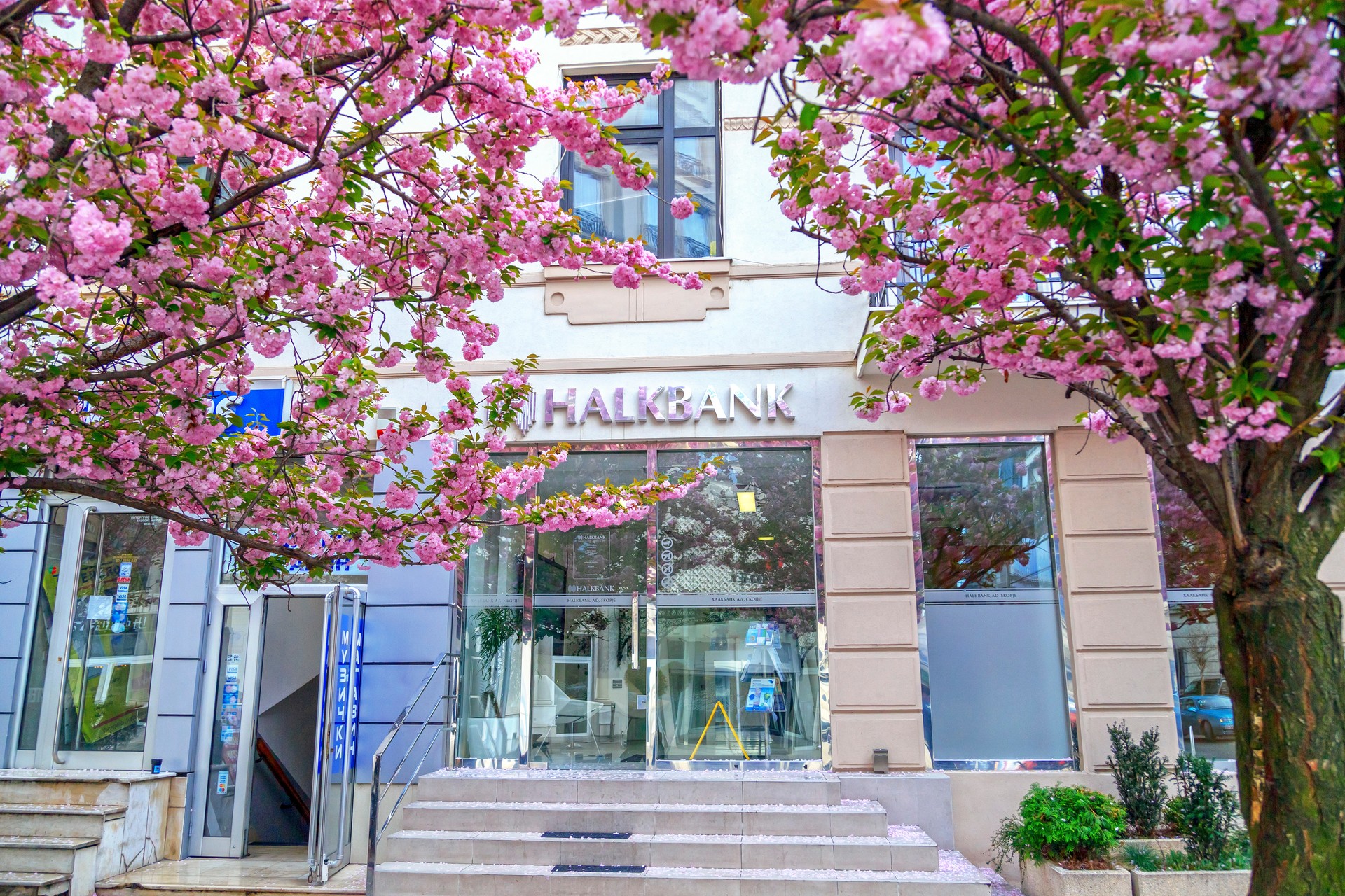 Türkiye's Halkbank boosts women entrepreneurship with $2.2B fund