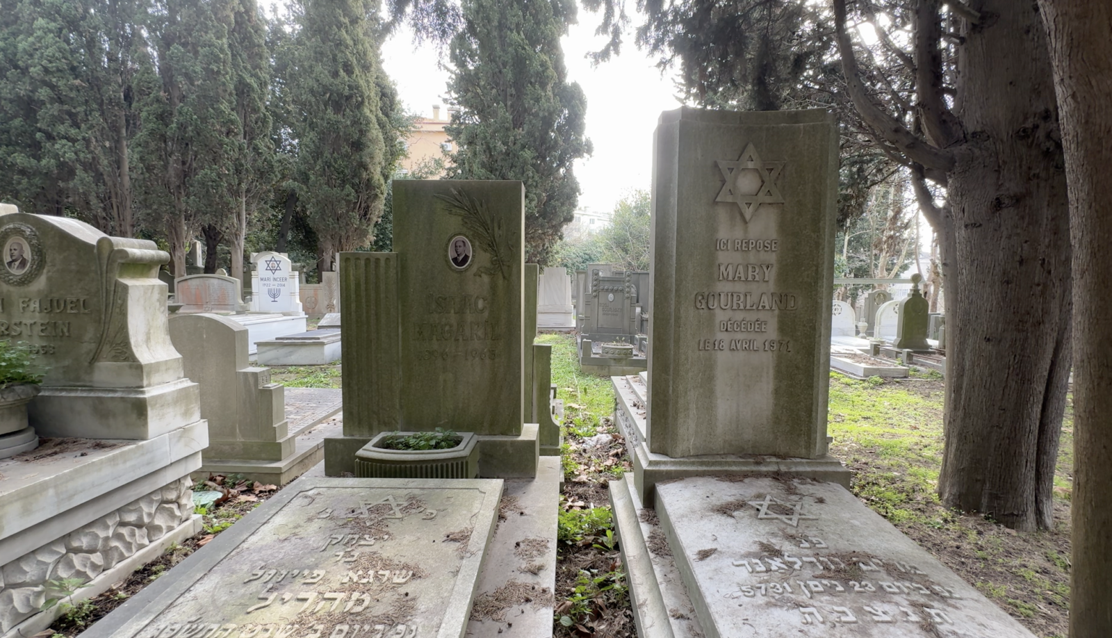 Gravestones at the Ulus Ashkenazi Jewish Cemetery, Istanbul, Türkiye. (AA Photo)